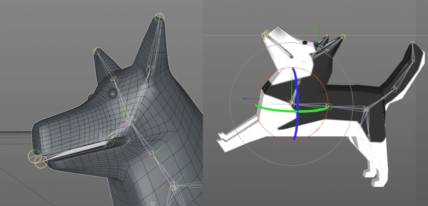 screenshots of the early version of the dog model in Cinema4D