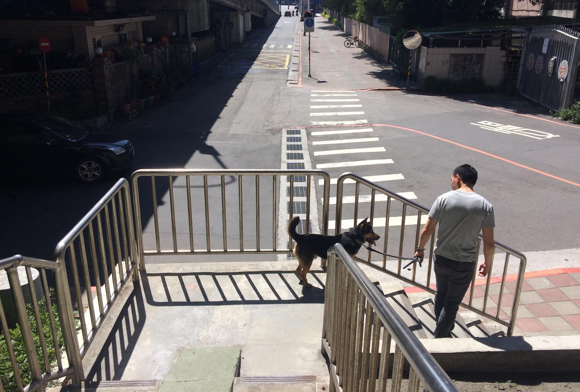 The dog and I on a staircase from a concrete structure leading downwards to a road with curb in the afternoon sun. 